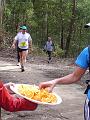 1a bush trail 082